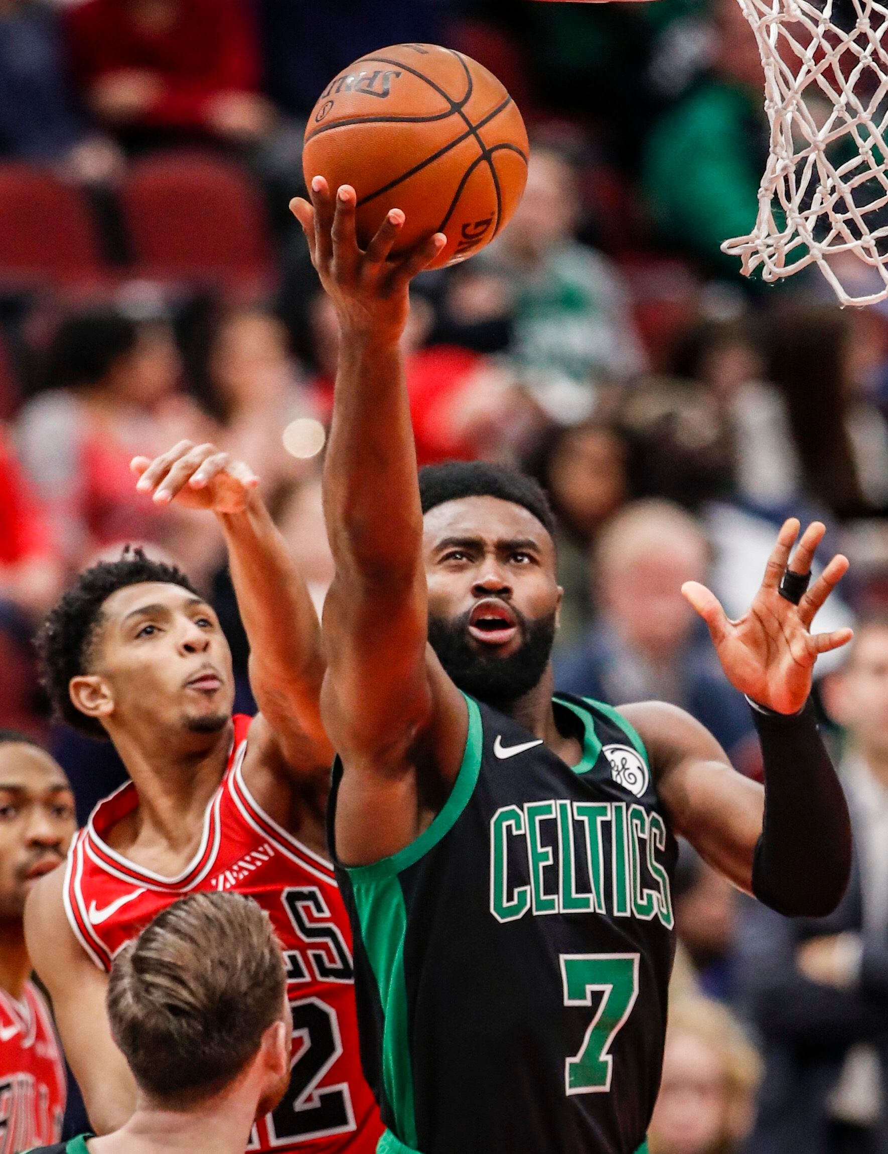 蒂斯的百年 蒂斯的百年